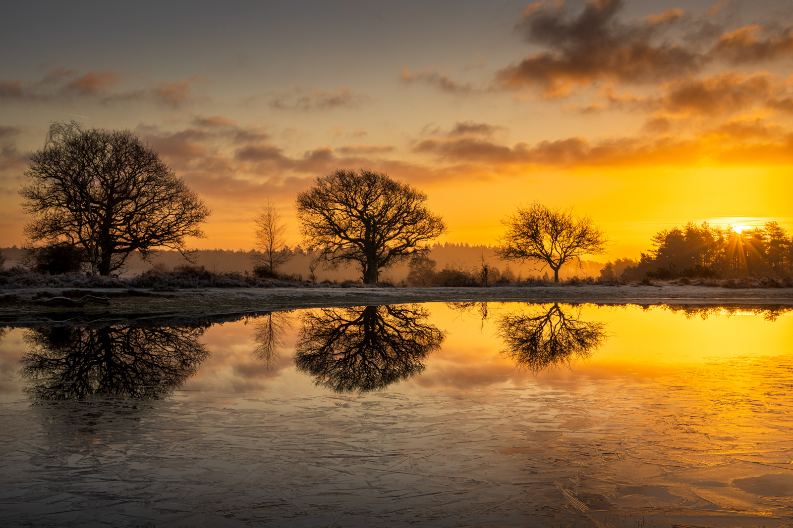 Mogshade Pond, Hampshire